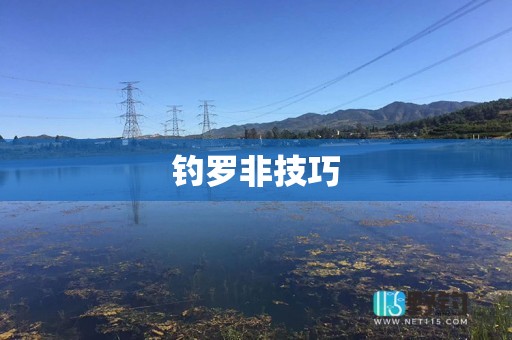 钓罗非技巧