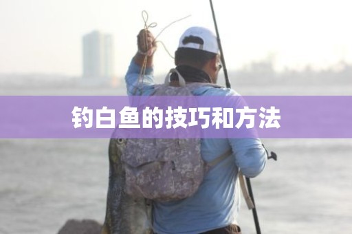 钓白鱼的技巧和方法