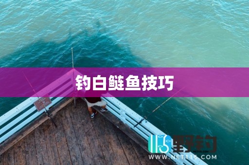 钓白鲢鱼技巧