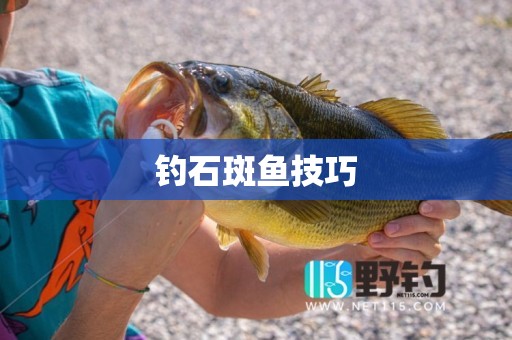 钓石斑鱼技巧