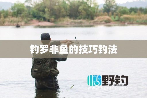 钓罗非鱼的技巧钓法