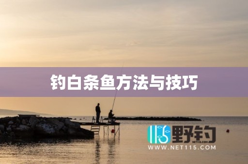 钓白条鱼方法与技巧