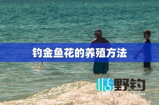 钓金鱼花的养殖方法