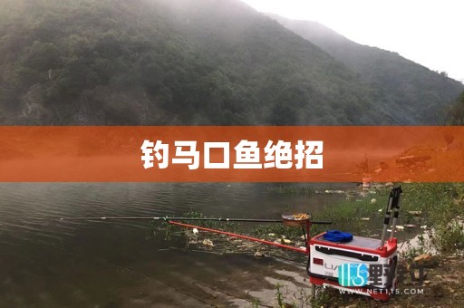 钓马口鱼绝招