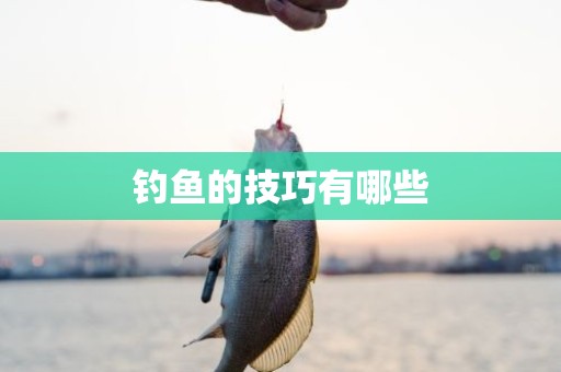 钓鱼的技巧有哪些