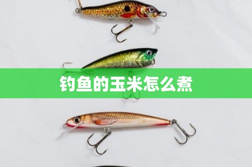 钓鱼的玉米怎么煮