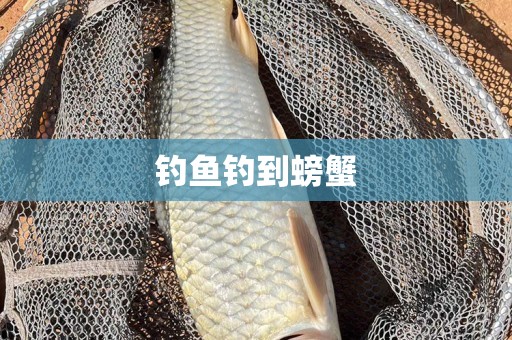 钓鱼钓到螃蟹
