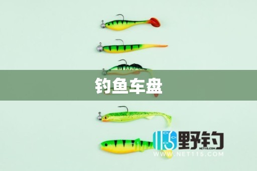 钓鱼车盘
