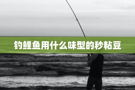 钓鲤鱼用什么味型的秒粘豆