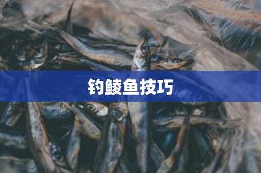 钓鲮鱼技巧