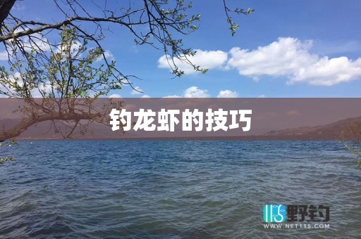 钓龙虾的技巧