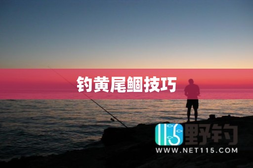 钓黄尾鲴技巧