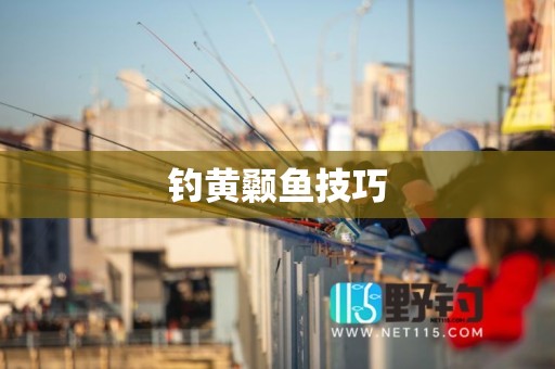 钓黄颡鱼技巧