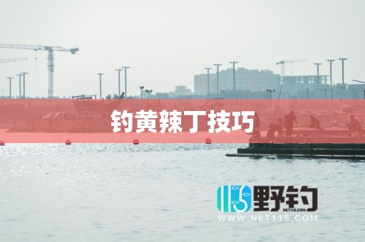 钓黄辣丁技巧
