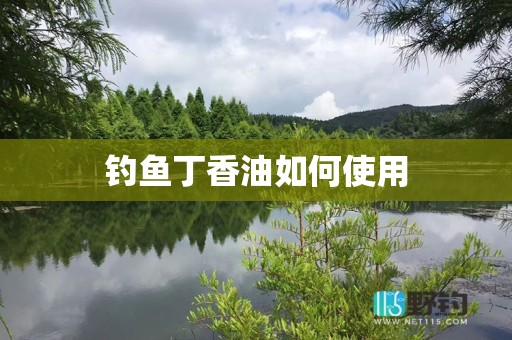 钓鱼丁香油如何使用