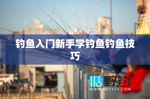 钓鱼入门新手学钓鱼钓鱼技巧
