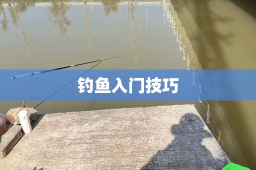 钓鱼入门技巧