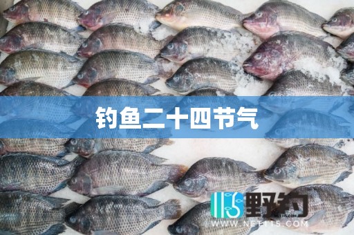 钓鱼二十四节气