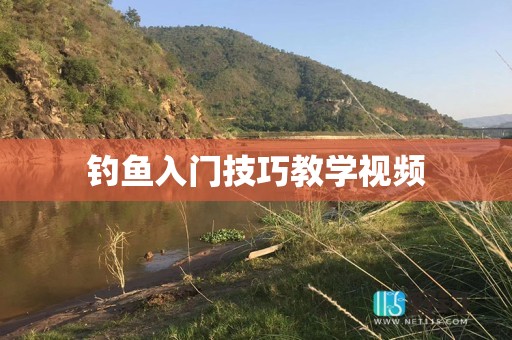 钓鱼入门技巧教学视频