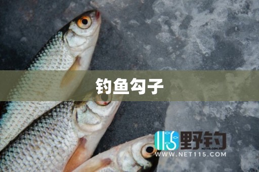 钓鱼勾子