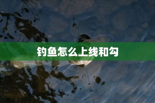 钓鱼怎么上线和勾