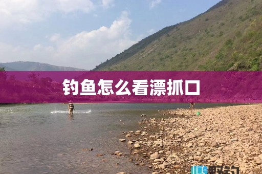 钓鱼怎么看漂抓口