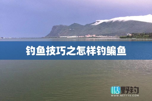 钓鱼技巧之怎样钓鳊鱼