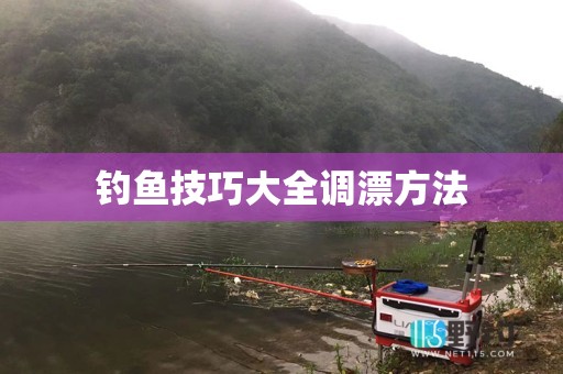 钓鱼技巧大全调漂方法