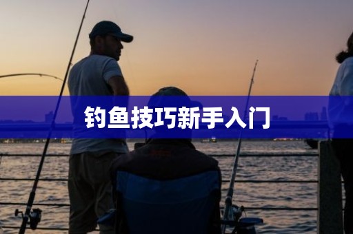 钓鱼技巧新手入门