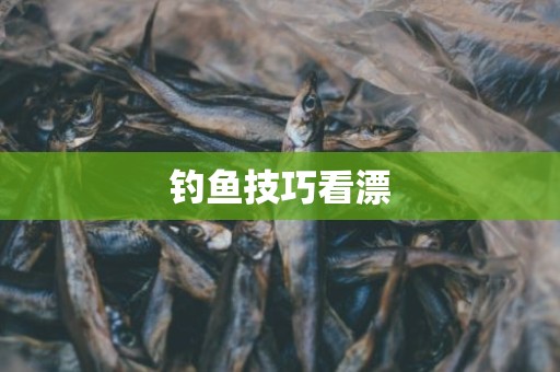 钓鱼技巧看漂