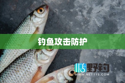 钓鱼攻击防护