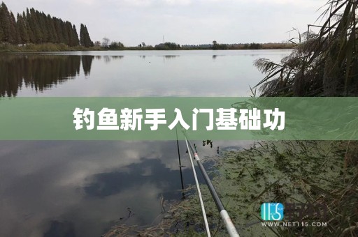 钓鱼新手入门基础功