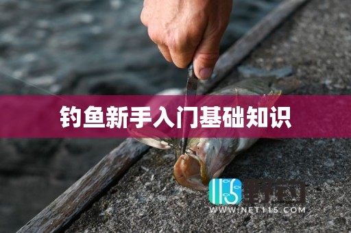 钓鱼新手入门基础知识