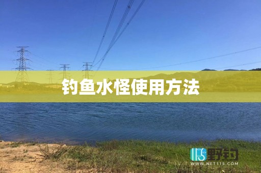 钓鱼水怪使用方法