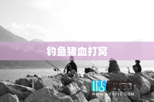钓鱼猪血打窝