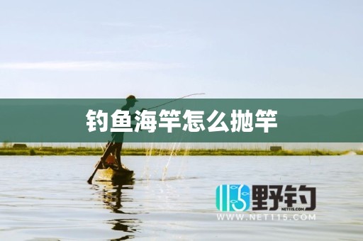 钓鱼海竿怎么抛竿