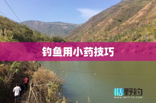 钓鱼用小药技巧