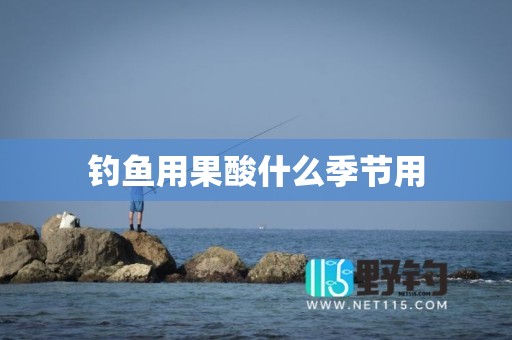 钓鱼用果酸什么季节用