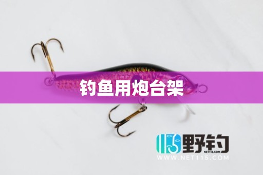 钓鱼用炮台架