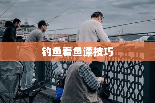 钓鱼看鱼漂技巧