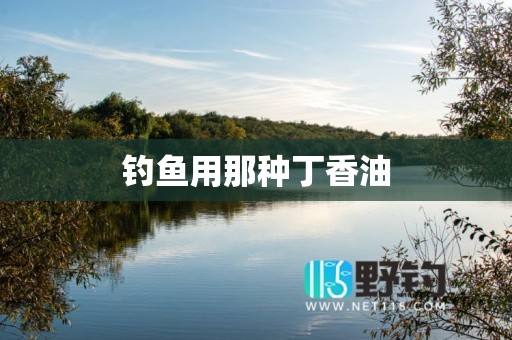 钓鱼用那种丁香油