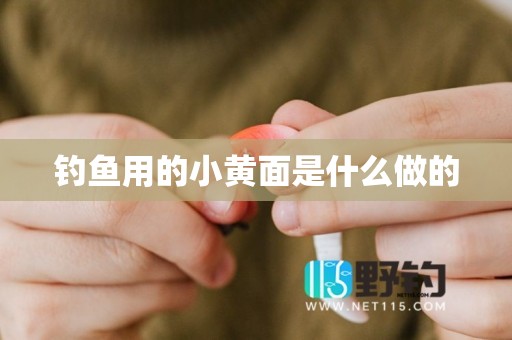 钓鱼用的小黄面是什么做的