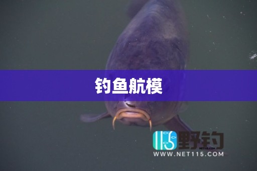 钓鱼航模