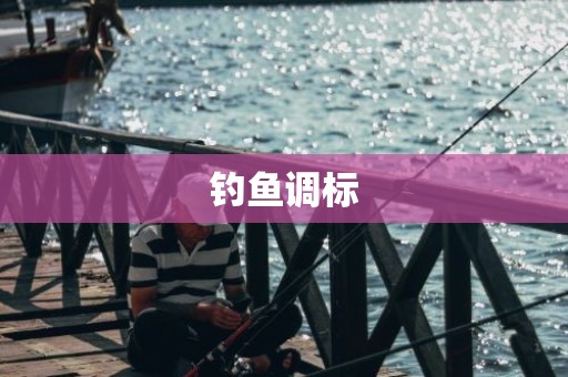 钓鱼调标