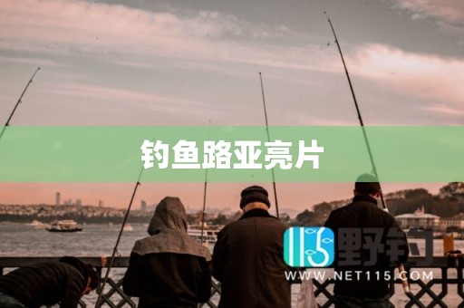 钓鱼路亚亮片