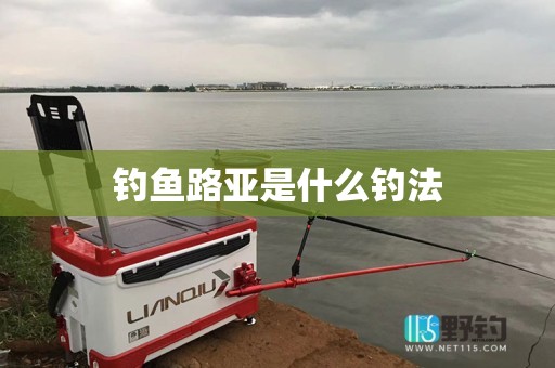 钓鱼路亚是什么钓法