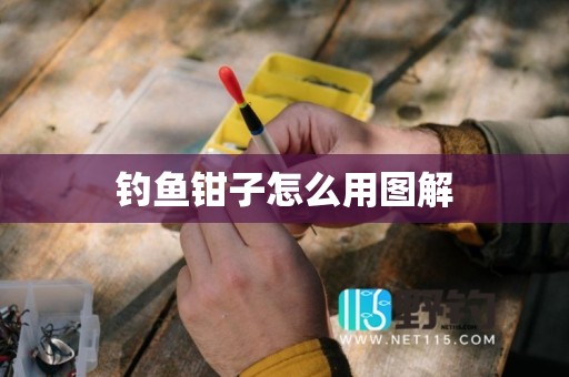 钓鱼钳子怎么用图解