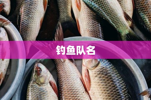 钓鱼队名