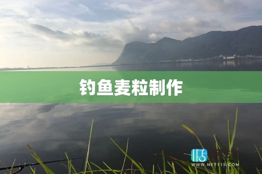 钓鱼麦粒制作