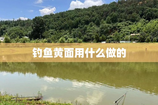 钓鱼黄面用什么做的